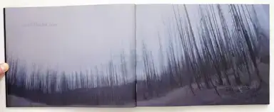 Sample page 21 for book "ten Hoopen, Pieter – Pieter ten Hoopen - Hungry Horse" Sample page 21 for book "ten Hoopen, Pieter – Pieter ten Hoopen - Hungry Horse"