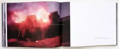 Sample page 11 for book "ten Hoopen, Pieter – Pieter ten Hoopen - Hungry Horse" Sample page 11 for book "ten Hoopen, Pieter – Pieter ten Hoopen - Hungry Horse"