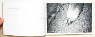 Sample page 15 for book "Kruse, Calin – Calin Kruse - Marble" Sample page 15 for book "Kruse, Calin – Calin Kruse - Marble"