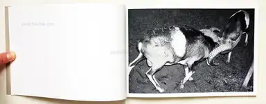 Sample page 13 for book "Kruse, Calin – Calin Kruse - Marble" Sample page 13 for book "Kruse, Calin – Calin Kruse - Marble"