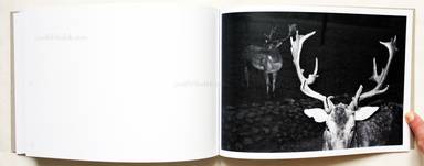 Sample page 13 for book  Calin Kruse – Marble