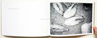 Sample page 2 for book "Kruse, Calin – Calin Kruse - Marble" Sample page 2 for book "Kruse, Calin – Calin Kruse - Marble"