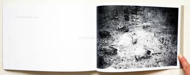 Sample page 16 for book  Calin Kruse – Marble