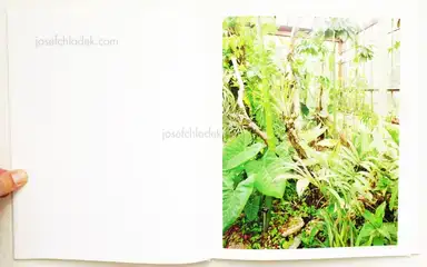 Sample page 11 for book "Graziani, Stefano – Stefano Graziani - Taxonomies" Sample page 11 for book "Graziani, Stefano – Stefano Graziani - Taxonomies"