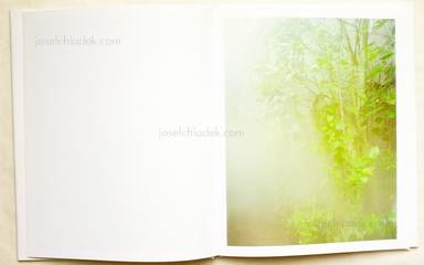 Sample page 10 for book "Graziani, Stefano – Stefano Graziani - Taxonomies" Sample page 10 for book "Graziani, Stefano – Stefano Graziani - Taxonomies"