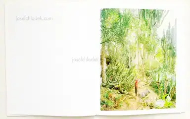 Sample page 9 for book "Graziani, Stefano – Stefano Graziani - Taxonomies" Sample page 9 for book "Graziani, Stefano – Stefano Graziani - Taxonomies"