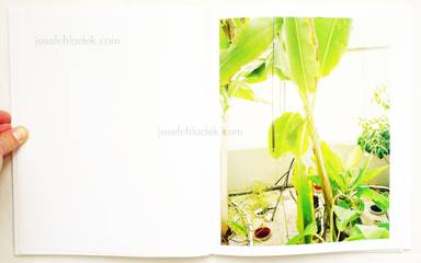 Sample page 6 for book "Graziani, Stefano – Stefano Graziani - Taxonomies" Sample page 6 for book "Graziani, Stefano – Stefano Graziani - Taxonomies"