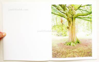 Sample page 5 for book "Graziani, Stefano – Stefano Graziani - Taxonomies" Sample page 5 for book "Graziani, Stefano – Stefano Graziani - Taxonomies"