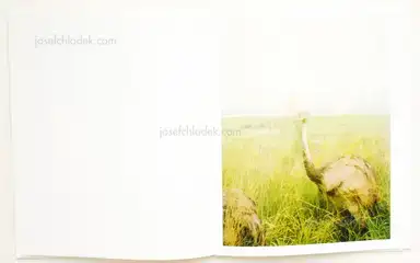 Sample page 4 for book "Graziani, Stefano – Stefano Graziani - Taxonomies" Sample page 4 for book "Graziani, Stefano – Stefano Graziani - Taxonomies"