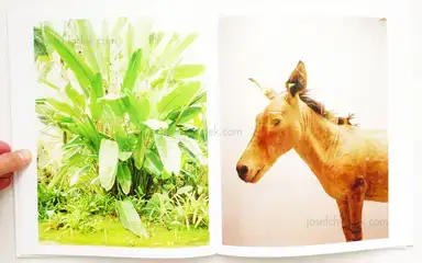 Sample page 3 for book "Graziani, Stefano – Stefano Graziani - Taxonomies" Sample page 3 for book "Graziani, Stefano – Stefano Graziani - Taxonomies"