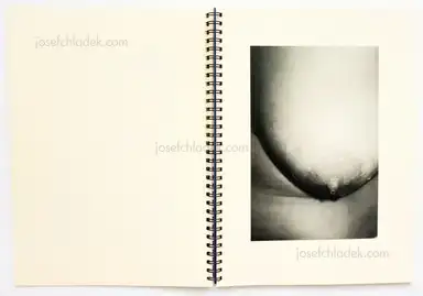 Sample page 13 for book "McElroy, Aaron – Aaron McElroy - Sweet" Sample page 13 for book "McElroy, Aaron – Aaron McElroy - Sweet"