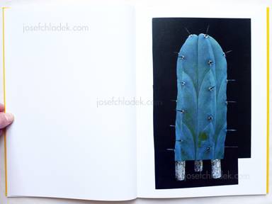 Sample page 7 for book "van Beek, Ruth – Ruth van Beek - The Arrangement" Sample page 7 for book "van Beek, Ruth – Ruth van Beek - The Arrangement"