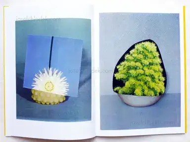 Sample page 6 for book "van Beek, Ruth – Ruth van Beek - The Arrangement" Sample page 6 for book "van Beek, Ruth – Ruth van Beek - The Arrangement"