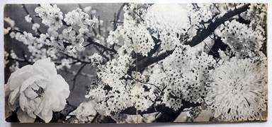 Sample page 17 for book  Goro / Domon Kumada – Nippon 日本