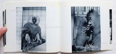 Sample page 3 for book "Garry, Winogrand – Garry Winogrand - The Animals (Softcover, first edition)" Sample page 3 for book "Garry, Winogrand – Garry Winogrand - The Animals (Softcover, first edition)"