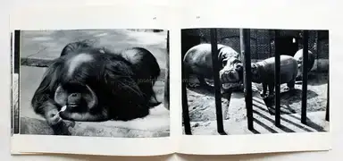 Sample page 2 for book "Garry, Winogrand – Garry Winogrand - The Animals (Softcover, first edition)" Sample page 2 for book "Garry, Winogrand – Garry Winogrand - The Animals (Softcover, first edition)"