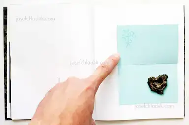 Sample page 4 for book "Mirovskaya, Alla – Alla Mirovskaya - Distant and Close (Алла Мировская - Далекие близкие)" Sample page 4 for book "Mirovskaya, Alla – Alla Mirovskaya - Distant and Close (Алла Мировская - Далекие близкие)"