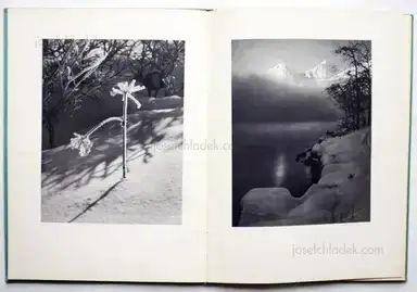 Sample page 10 for book "Steiner, Albert – Albert Steiner - Schnee - Winter - Sonne" Sample page 10 for book "Steiner, Albert – Albert Steiner - Schnee - Winter - Sonne"