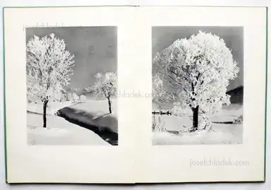 Sample page 7 for book "Steiner, Albert – Albert Steiner - Schnee - Winter - Sonne" Sample page 7 for book "Steiner, Albert – Albert Steiner - Schnee - Winter - Sonne"
