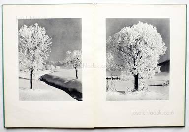 Sample page 4 for book  Albert Steiner – Schnee - Winter - Sonne