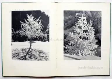 Sample page 6 for book "Steiner, Albert – Albert Steiner - Schnee - Winter - Sonne" Sample page 6 for book "Steiner, Albert – Albert Steiner - Schnee - Winter - Sonne"