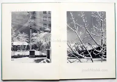 Sample page 5 for book "Steiner, Albert – Albert Steiner - Schnee - Winter - Sonne" Sample page 5 for book "Steiner, Albert – Albert Steiner - Schnee - Winter - Sonne"