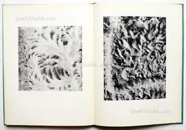 Sample page 3 for book "Steiner, Albert – Albert Steiner - Schnee - Winter - Sonne" Sample page 3 for book "Steiner, Albert – Albert Steiner - Schnee - Winter - Sonne"
