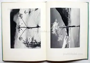 Sample page 2 for book "Steiner, Albert – Albert Steiner - Schnee - Winter - Sonne" Sample page 2 for book "Steiner, Albert – Albert Steiner - Schnee - Winter - Sonne"