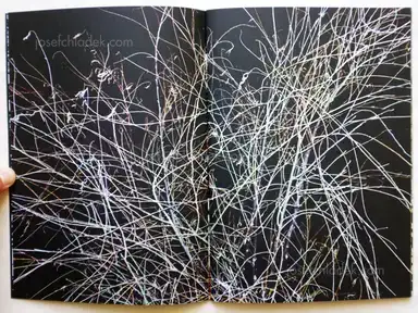 Sample page 11 for book "Koublis, Petros – Petros Koublis - INLANDS" Sample page 11 for book "Koublis, Petros – Petros Koublis - INLANDS"