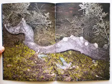 Sample page 10 for book "Koublis, Petros – Petros Koublis - INLANDS" Sample page 10 for book "Koublis, Petros – Petros Koublis - INLANDS"