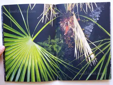 Sample page 8 for book "Koublis, Petros – Petros Koublis - INLANDS" Sample page 8 for book "Koublis, Petros – Petros Koublis - INLANDS"