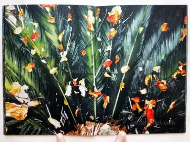 Sample page 7 for book "Koublis, Petros – Petros Koublis - INLANDS" Sample page 7 for book "Koublis, Petros – Petros Koublis - INLANDS"