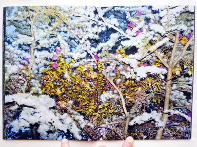 Sample page 6 for book "Koublis, Petros – Petros Koublis - INLANDS" Sample page 6 for book "Koublis, Petros – Petros Koublis - INLANDS"