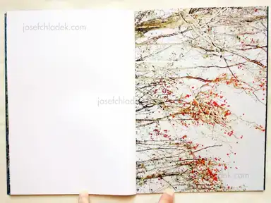 Sample page 4 for book "Koublis, Petros – Petros Koublis - INLANDS" Sample page 4 for book "Koublis, Petros – Petros Koublis - INLANDS"