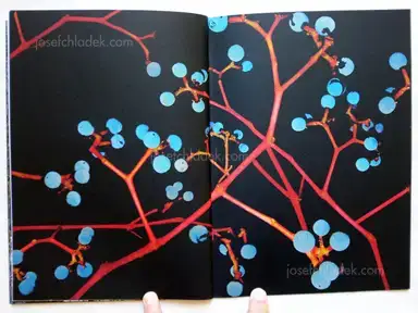 Sample page 2 for book "Koublis, Petros – Petros Koublis - INLANDS" Sample page 2 for book "Koublis, Petros – Petros Koublis - INLANDS"