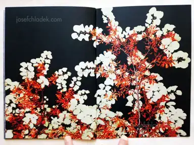 Sample page 1 for book "Koublis, Petros – Petros Koublis - INLANDS" Sample page 1 for book "Koublis, Petros – Petros Koublis - INLANDS"