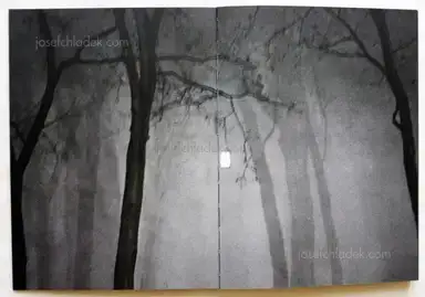 Sample page 12 for book "Reister, Christian – Christian Reister - Alle Katzen Grau" Sample page 12 for book "Reister, Christian – Christian Reister - Alle Katzen Grau"