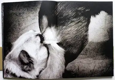 Sample page 10 for book "Bitesnich, Andreas – Andreas H. Bitesnich - Deeper Shades #04 Vienna" Sample page 10 for book "Bitesnich, Andreas – Andreas H. Bitesnich - Deeper Shades #04 Vienna"