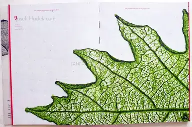 Sample page 16 for book "Weber-Unger, Simon – Simon Weber-Unger - Naturselbstdrucke" Sample page 16 for book "Weber-Unger, Simon – Simon Weber-Unger - Naturselbstdrucke"