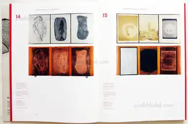 Sample page 15 for book "Weber-Unger, Simon – Simon Weber-Unger - Naturselbstdrucke" Sample page 15 for book "Weber-Unger, Simon – Simon Weber-Unger - Naturselbstdrucke"