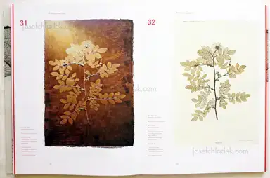 Sample page 12 for book "Weber-Unger, Simon – Simon Weber-Unger - Naturselbstdrucke" Sample page 12 for book "Weber-Unger, Simon – Simon Weber-Unger - Naturselbstdrucke"