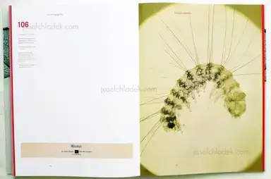 Sample page 5 for book "Weber-Unger, Simon – Simon Weber-Unger - Naturselbstdrucke" Sample page 5 for book "Weber-Unger, Simon – Simon Weber-Unger - Naturselbstdrucke"