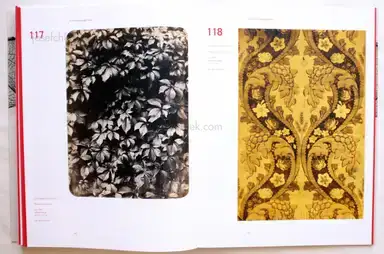 Sample page 2 for book "Weber-Unger, Simon – Simon Weber-Unger - Naturselbstdrucke" Sample page 2 for book "Weber-Unger, Simon – Simon Weber-Unger - Naturselbstdrucke"