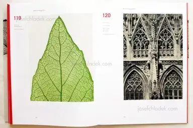 Sample page 1 for book "Weber-Unger, Simon – Simon Weber-Unger - Naturselbstdrucke" Sample page 1 for book "Weber-Unger, Simon – Simon Weber-Unger - Naturselbstdrucke"