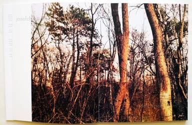 Sample page 14 for book "Anzenberger, Regina – Regina Anzenberger - Roots & Bonds" Sample page 14 for book "Anzenberger, Regina – Regina Anzenberger - Roots & Bonds"