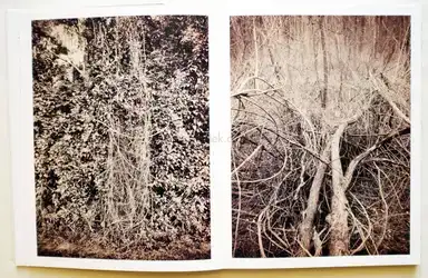 Sample page 13 for book "Anzenberger, Regina – Regina Anzenberger - Roots & Bonds" Sample page 13 for book "Anzenberger, Regina – Regina Anzenberger - Roots & Bonds"