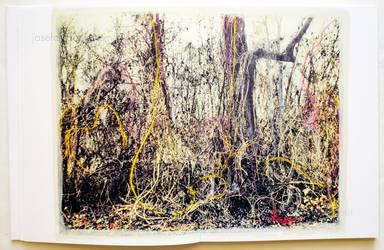 Sample page 11 for book "Anzenberger, Regina – Regina Anzenberger - Roots & Bonds" Sample page 11 for book "Anzenberger, Regina – Regina Anzenberger - Roots & Bonds"