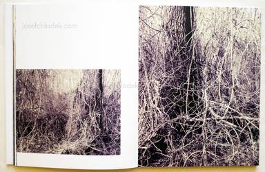 Sample page 8 for book "Anzenberger, Regina – Regina Anzenberger - Roots & Bonds" Sample page 8 for book "Anzenberger, Regina – Regina Anzenberger - Roots & Bonds"