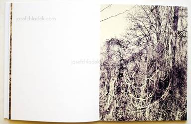 Sample page 3 for book "Anzenberger, Regina – Regina Anzenberger - Roots & Bonds" Sample page 3 for book "Anzenberger, Regina – Regina Anzenberger - Roots & Bonds"