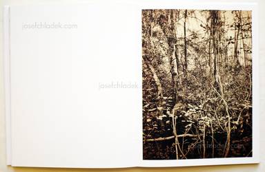 Sample page 2 for book "Anzenberger, Regina – Regina Anzenberger - Roots & Bonds" Sample page 2 for book "Anzenberger, Regina – Regina Anzenberger - Roots & Bonds"